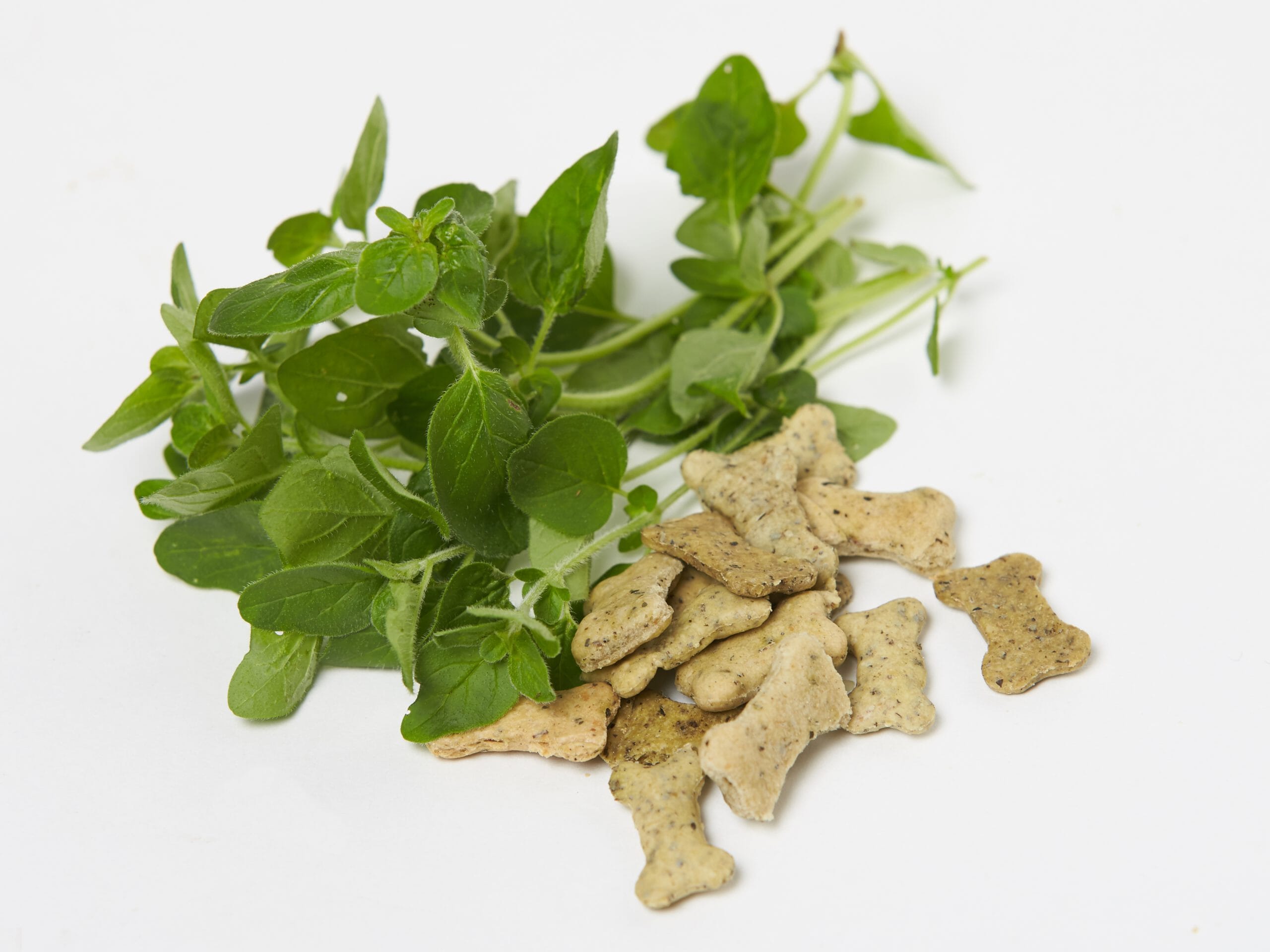 Marli´s Minzknochen